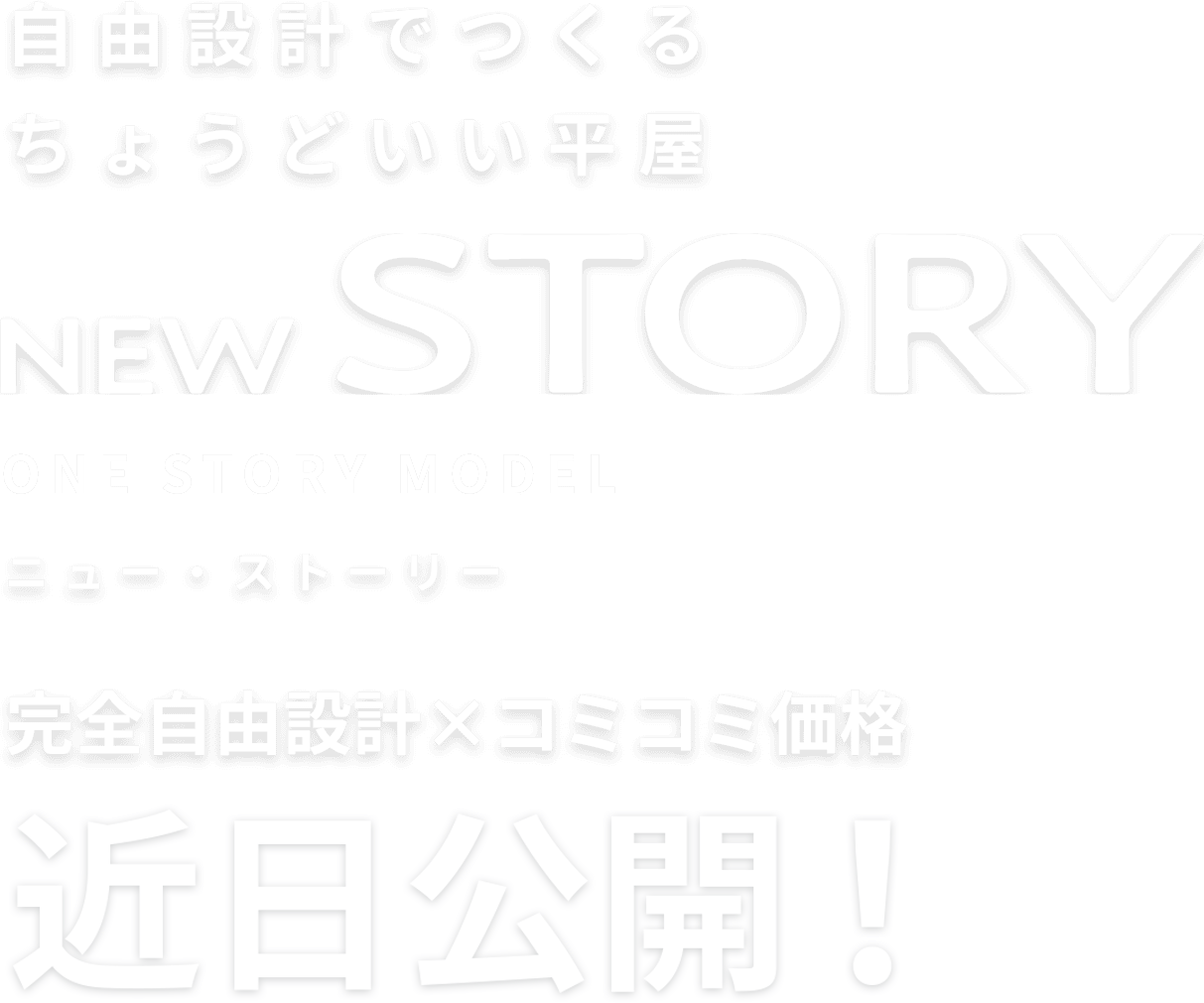 自由設計でつくる ちょうどいい平屋 NEW STORY